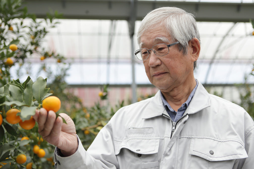 No.12”リキュール　（清水の金柑、みかん）