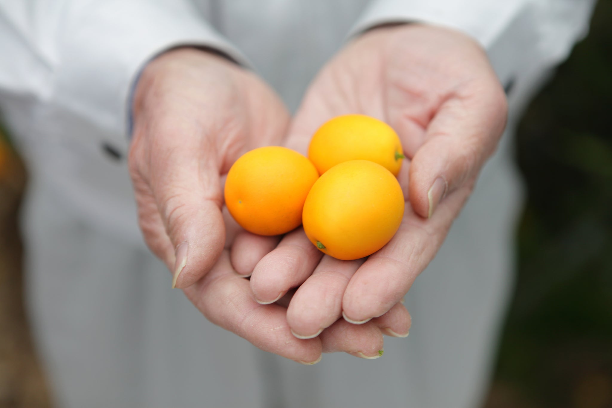 No.12”リキュール　（清水の金柑、みかん）