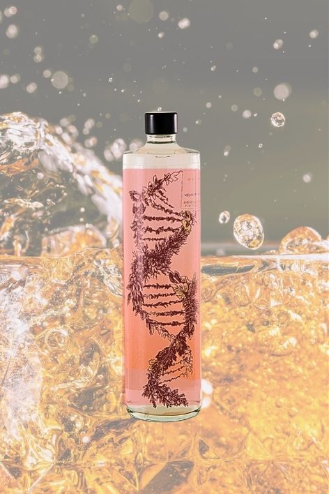 クラフトコーラのGIN / Coke Gin 200ml