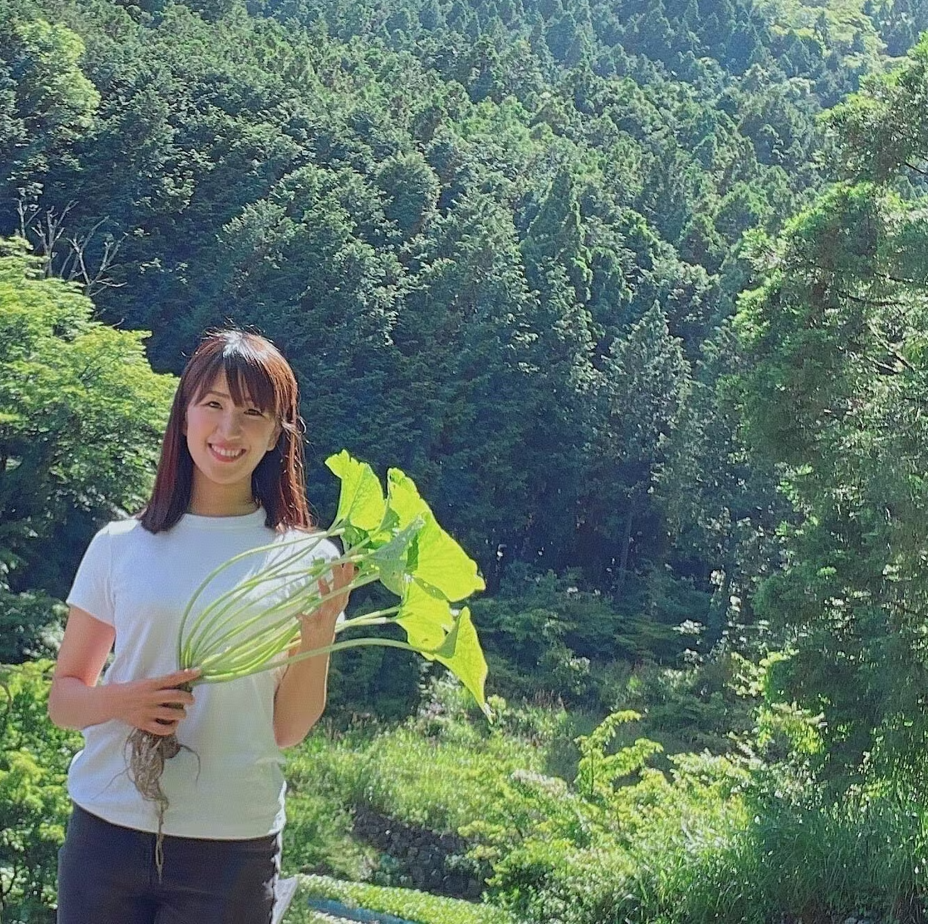 【 No.0 】山葵のGIN 現在開発中