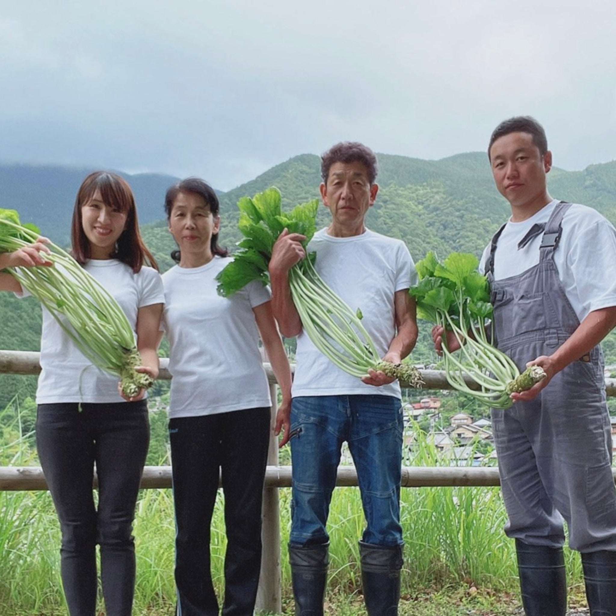 【 No.0 】山葵のGIN 現在開発中